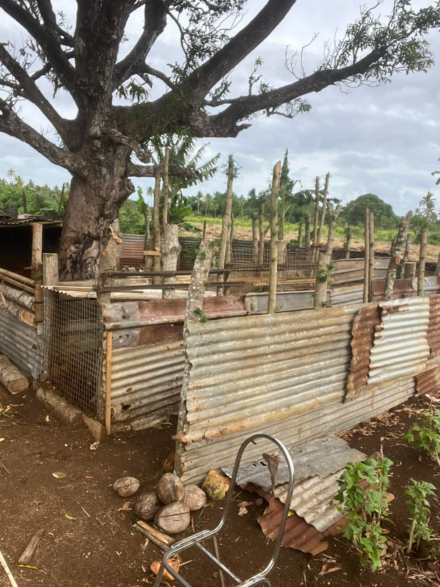 Animal pens at the Anchored to Grace farm